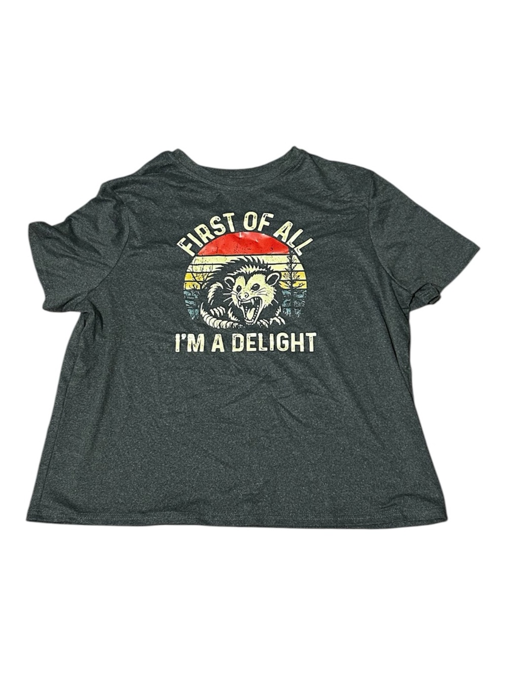 "First of All I'm a Delight" Possum Print Graphic Tee